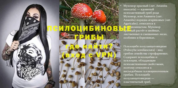 ПСИЛОЦИБИНОВЫЕ ГРИБЫ Дмитровск