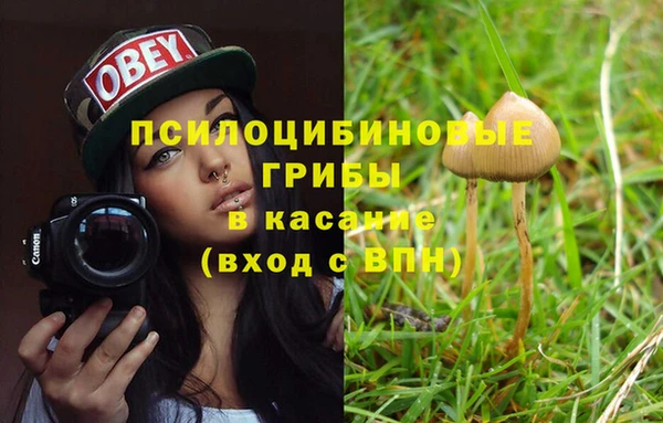кристаллы Дмитров