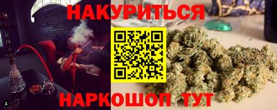СК Дубна