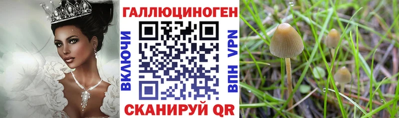 Псилоцибиновые грибы GOLDEN TEACHER  Назарово 