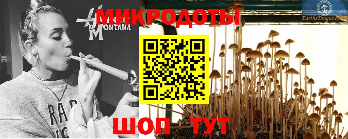 Псилоцибиновые грибы ЛСД  Назарово  Галлюциногенные грибы Magic Shrooms 