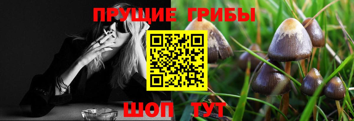 Псилоцибиновые грибы GOLDEN TEACHER Назарово